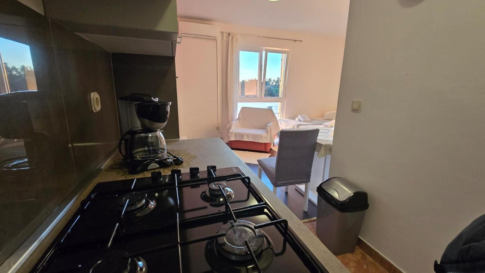 Studio Apartment Ljubica For 2 Persons 150M From The Beach ポレッチ エクステリア 写真